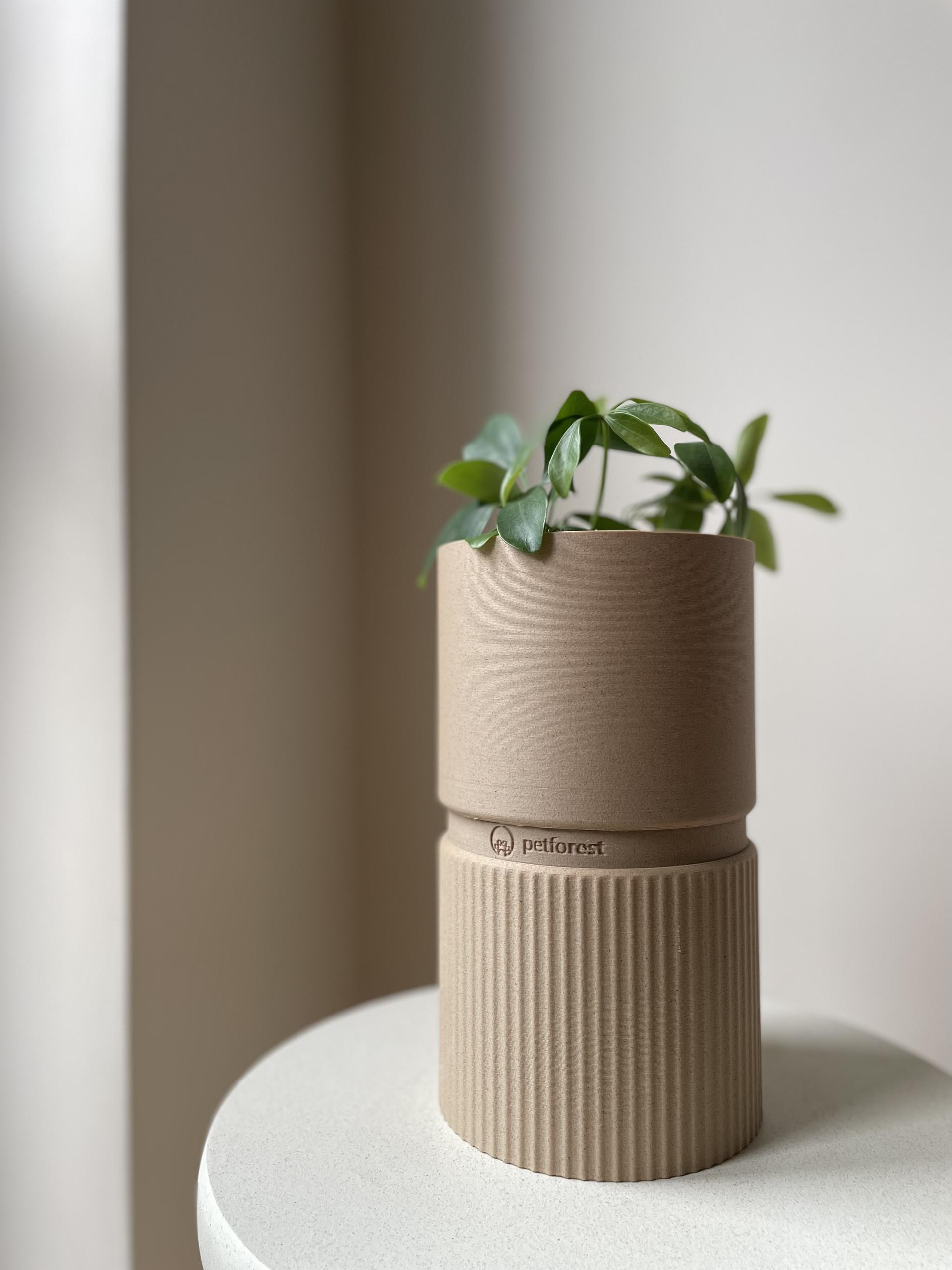 petforest urna z rośliną